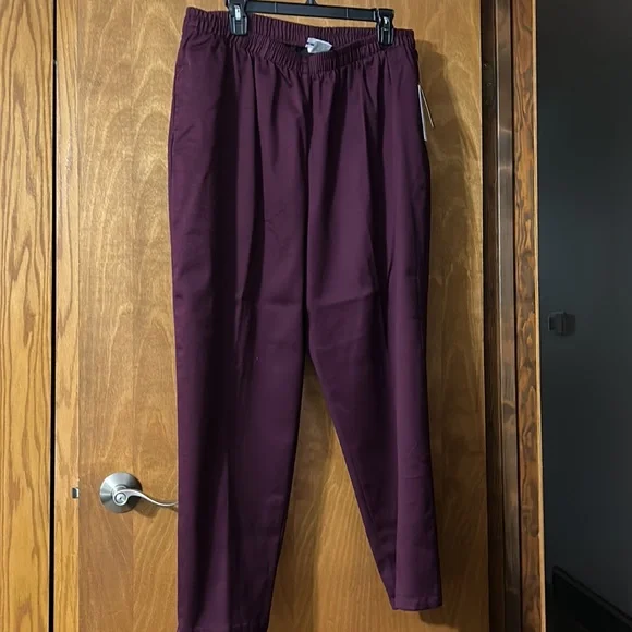 New with tags- BonWorth pants and jacket in fig - Picture 4 of 10